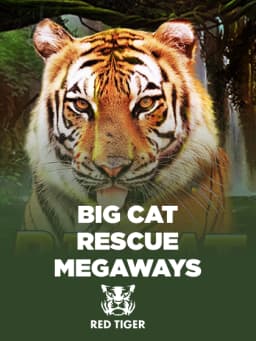 img-Big Cat Rescue Megaways